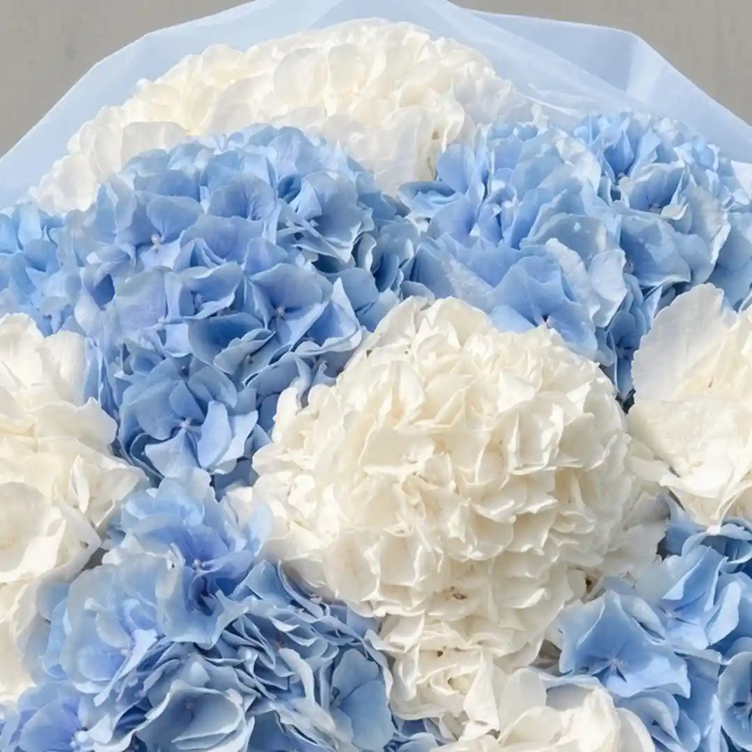 Close-up of a blue and white hydrangea bouquet by IFIORA florist, Warsaw (Mokotów, Poland)
