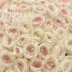 Close-up: Ivory and blush garden rose bouquet