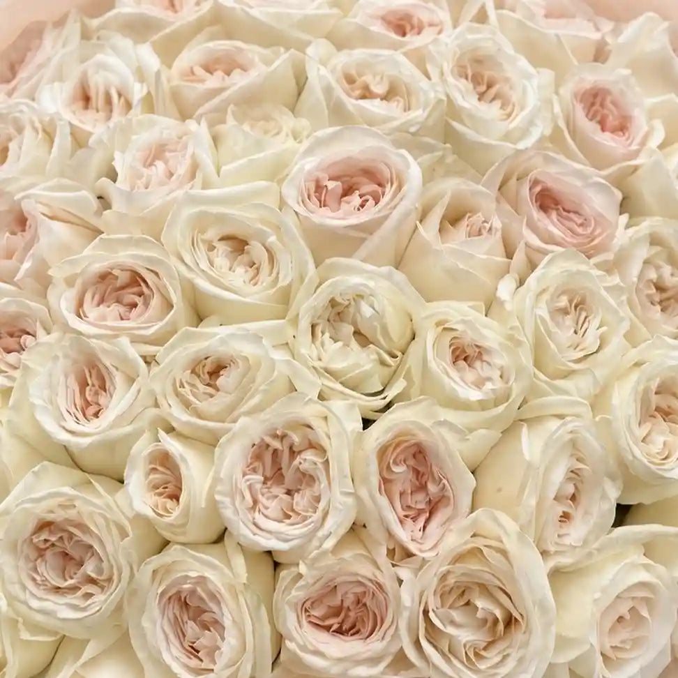 Close-up: Ivory and blush garden rose bouquet