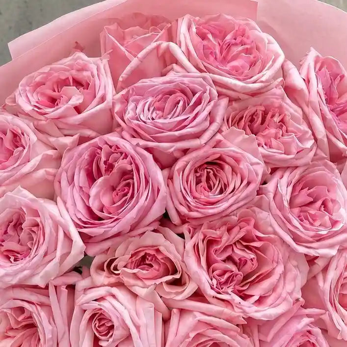 Close-up: Pink garden rose bouquet