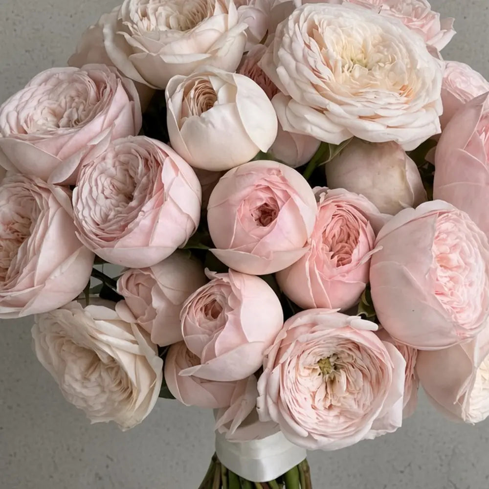 Close-up of soft pink garden roses in a wedding bouquet — IFIORA florist, Warsaw (Mokotów)