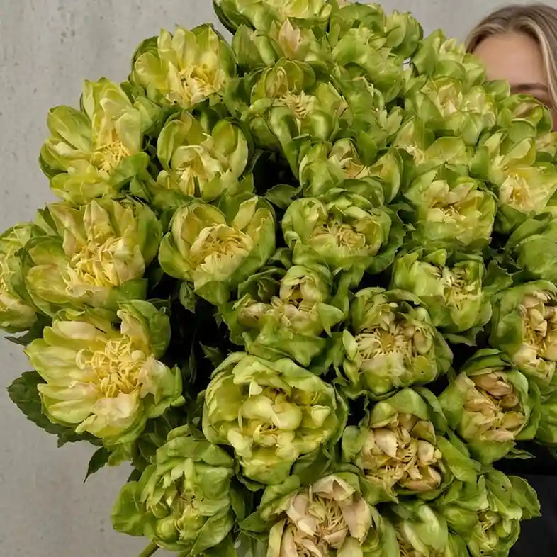 Close-up: Green Veggie rose bouquet