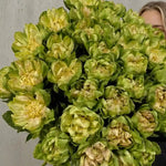 Close-up: Green Veggie rose bouquet