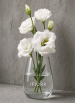 Eustoma biała (lizjantus). IFIORA, kwiaciarnia premium w Warszawie (Mokotów).