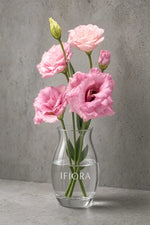 Eustoma różowa (lizjantus). IFIORA, kwiaciarnia premium w Warszawie (Mokotów).