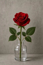 Pojedyncza czerwona róża. IFIORA, kwiaciarnia premium w Warszawie (Mokotów).